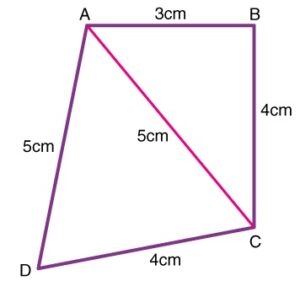 9th math mcq